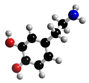 Dopamine