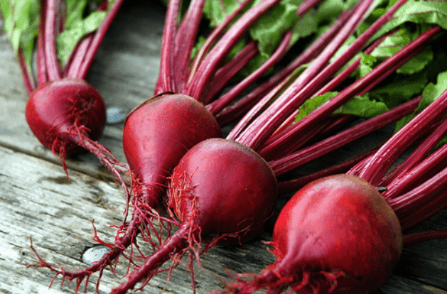 beetroot-uprooted