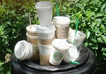 starbucks-coffee-cups-trash