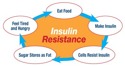 InsulinResistance