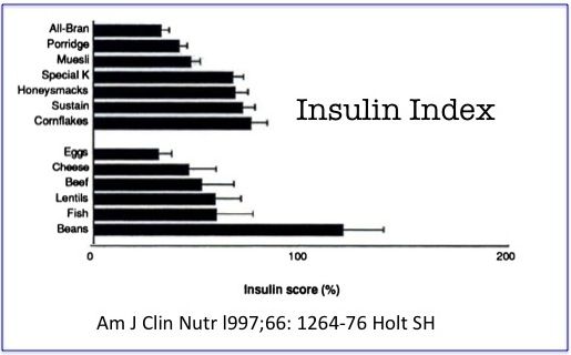Insulin Index Holt