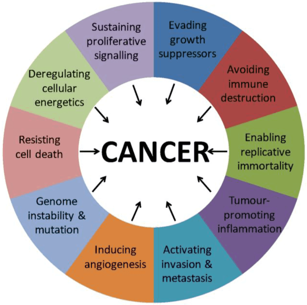 hallmarks of cancer