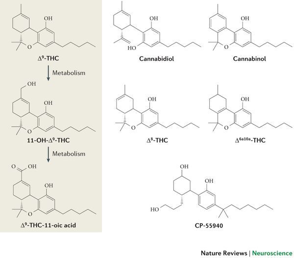 Cannabinoids