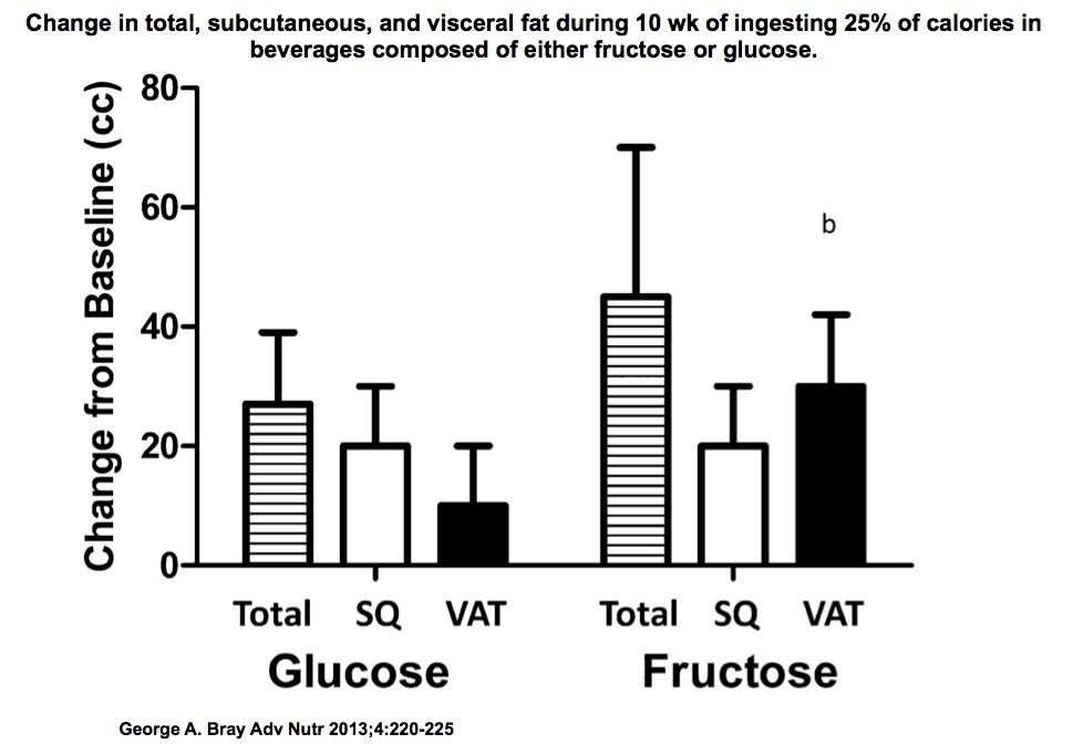 Fructose visceral fat