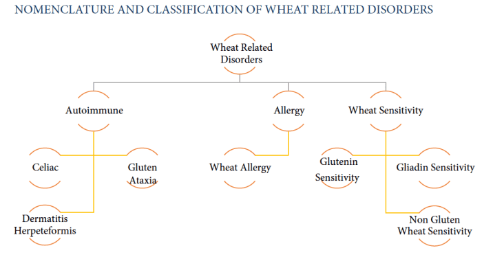 Gluten related disorders