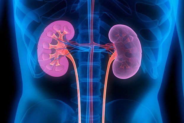 Chronic Kidney Disease