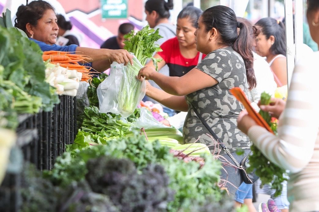 Wholesome RX Farmers Market