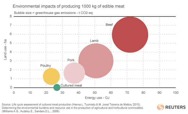 Cultured Meat Eco Impact