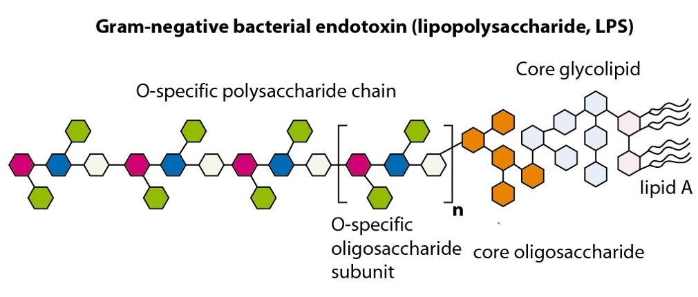 Lipopolysaccharide