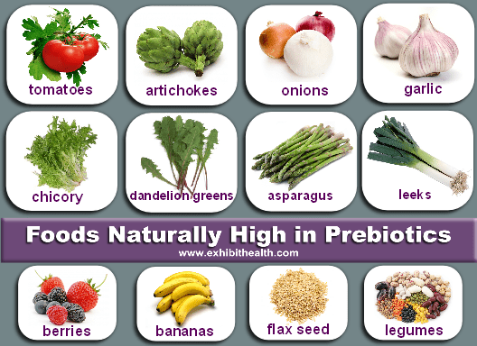 Prebiotic foods