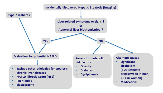 NAFLD Dx 