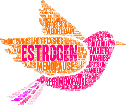 Estrogen Hummingbird