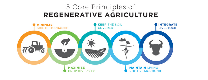 Regenerative Ag Principles