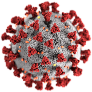 SARS-CoV-2, the virus that causes COVID-19
