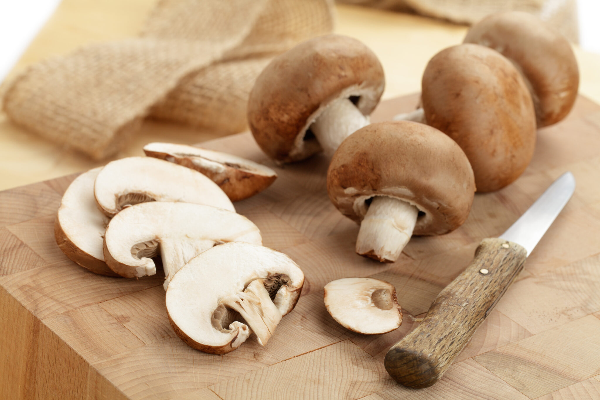 Можно ли готовить грибы. Грибы шампиньоны. Грибы для готовки. Грибы приготовленные. Приготовление грибов.