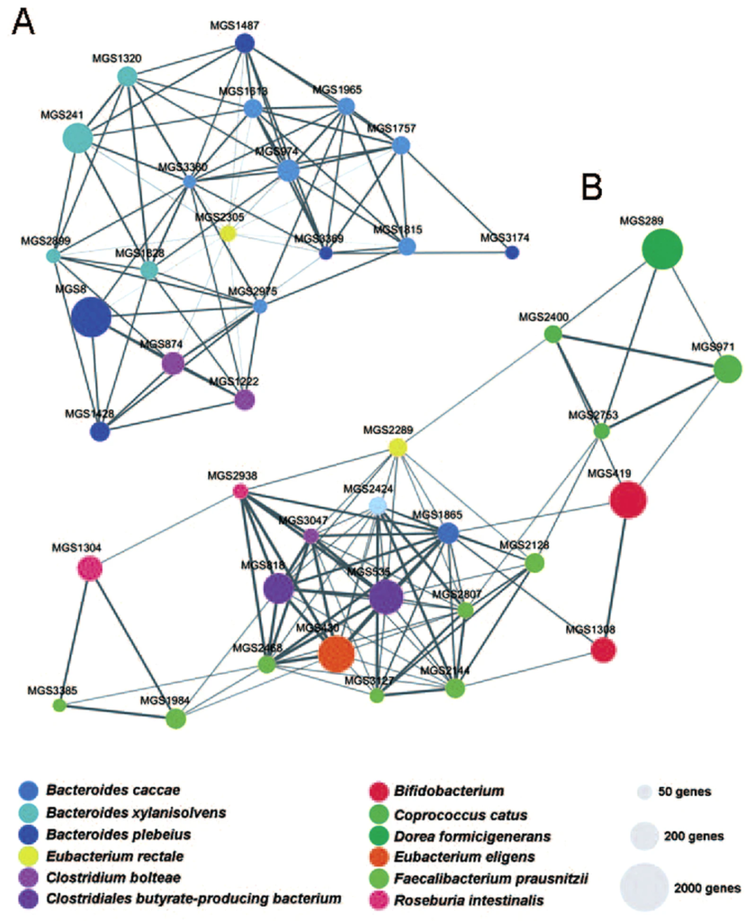 Diagram of metagenomic species networks enriched in the gut microbiomes of gout patients versus healthy individuals 