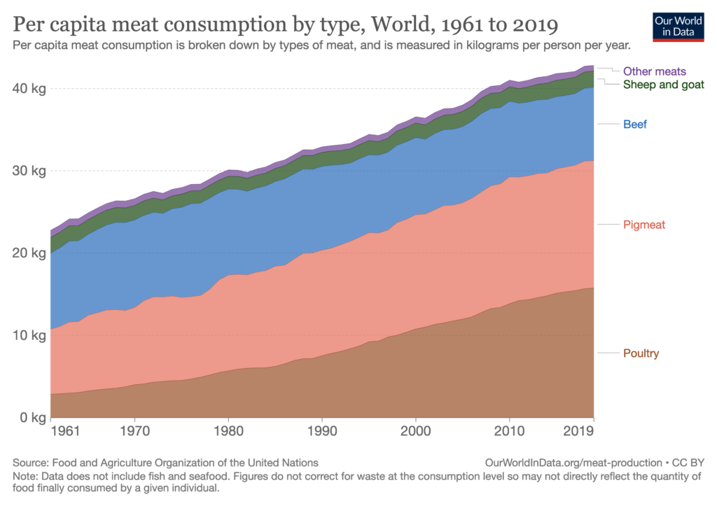 Steakholder Meets: Kashrut and the cultivated meat industry - Steakholder Foods
