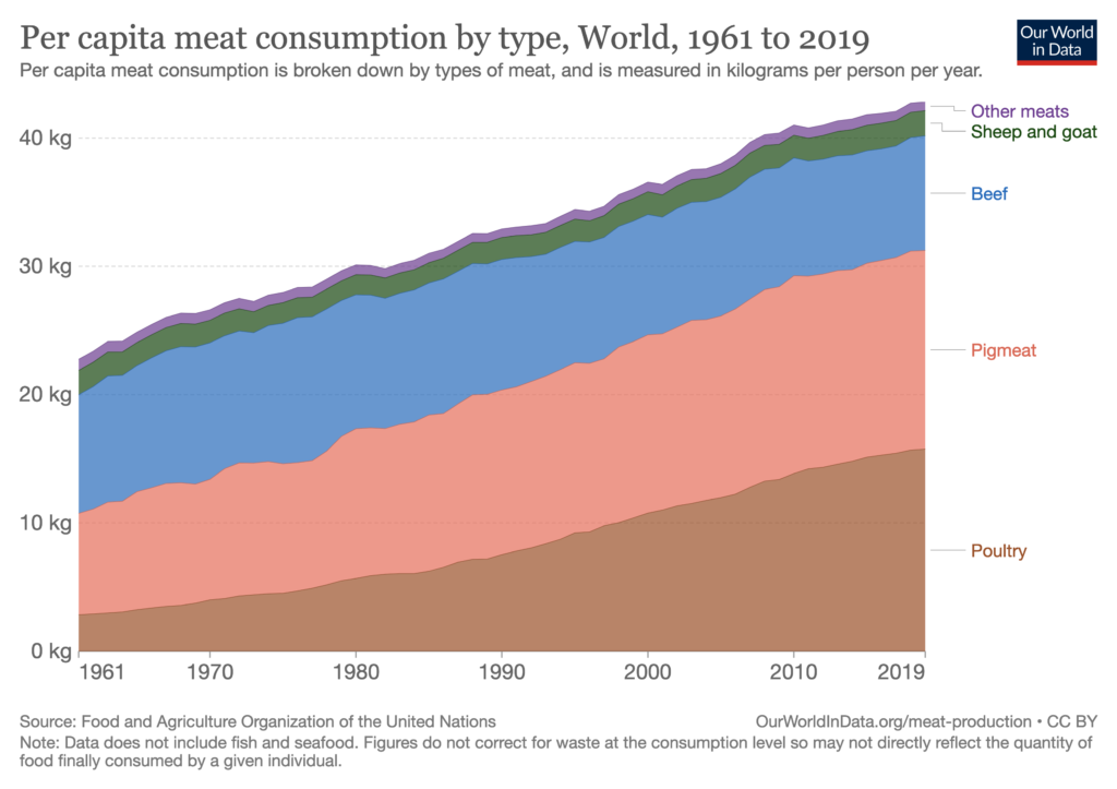 Steakholder Meets: Kashrut and the cultivated meat industry - Steakholder  Foods